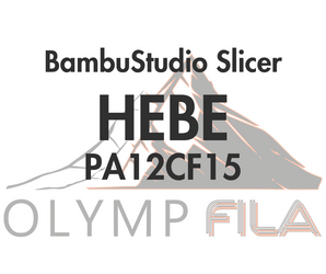 Slicerprofil BambuStudio für OlympFILA HEBE PA12CF15